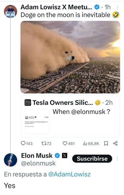 Elon Musk confirms doge on the moon is inevitable
